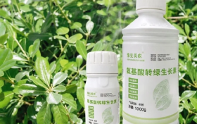 农业氨基酸产品介绍：选对好产品，助力作物增产
